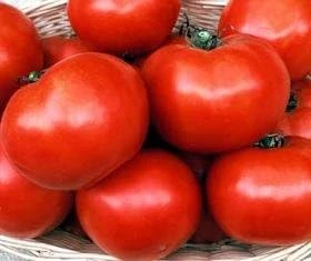 Floradade Tomato Seeds - 20 Count - Disease Resistant, Indeterminate - Image 1