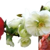 Flowering Quince Live Plant Collection – 3 Quince Plants, 4" Pots – Scarlet, White, Peach - Image 1