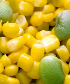 Fordhook 242 Lima Bean Seeds - Bush Vegetable Seeds - 20 Count - Image 7