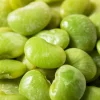 Fordhook 242 Lima Bean Seeds - Bush Vegetable Seeds - 20 Count - Image 1