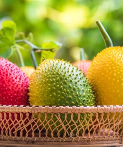 Gac Fruit Seeds - Momordica Cochinchinensis - 2 Seeds for Growing Rare Melon Vine - Image 10