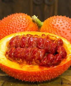 Gac Fruit Seeds - Momordica Cochinchinensis - 2 Seeds for Growing Rare Melon Vine - Image 3