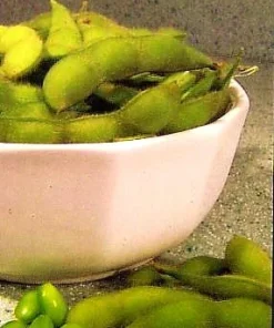 Garden Soy Edamame Soybeans - 100 Seeds, Easy Grow Vegetable for Home Gardens - Image 1