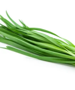 Garlic Chive Seeds - Allium Tuberosum, White Flowers, 250 Seeds, Herb Vegetable - Image 4