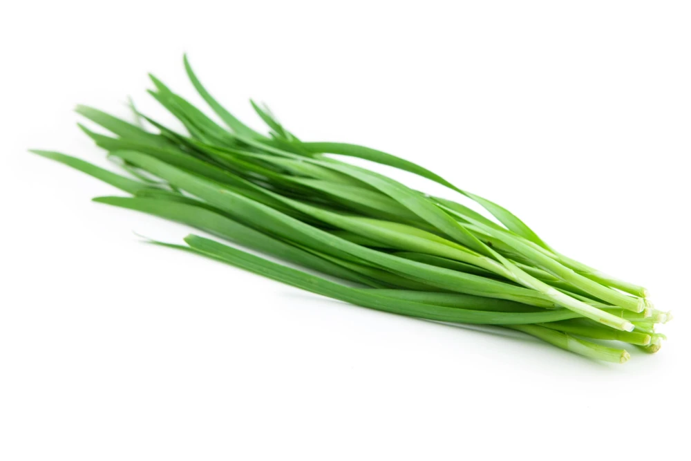 Garlic Chive Seeds - Allium Tuberosum, White Flowers, 250 Seeds, Herb Vegetable - Image 4
