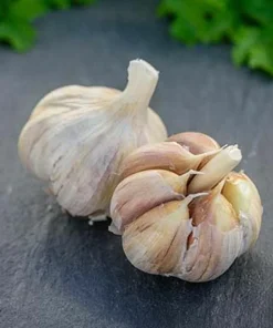 German Red Garlic Seeds - Non-GMO, Healthy, Fast Growing, 500+ Count - Image 6