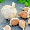 German Red Garlic Seeds - Non-GMO, Healthy, Fast Growing, 500+ Count - Image 1