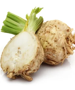 Giant Prague Celeriac Seeds - 500 Count - Root Celery Vegetable for Culinary Use - Image 3