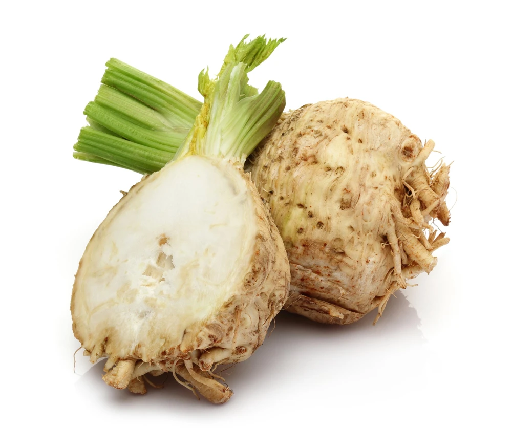 Giant Prague Celeriac Seeds - 500 Count - Root Celery Vegetable for Culinary Use - Image 3