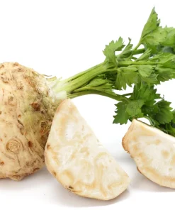Giant Prague Celeriac Seeds - 500 Count - Root Celery Vegetable for Culinary Use - Image 4
