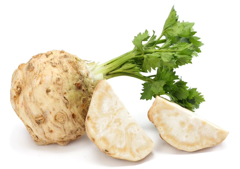 Giant Prague Celeriac Seeds - 500 Count - Root Celery Vegetable for Culinary Use - Image 4