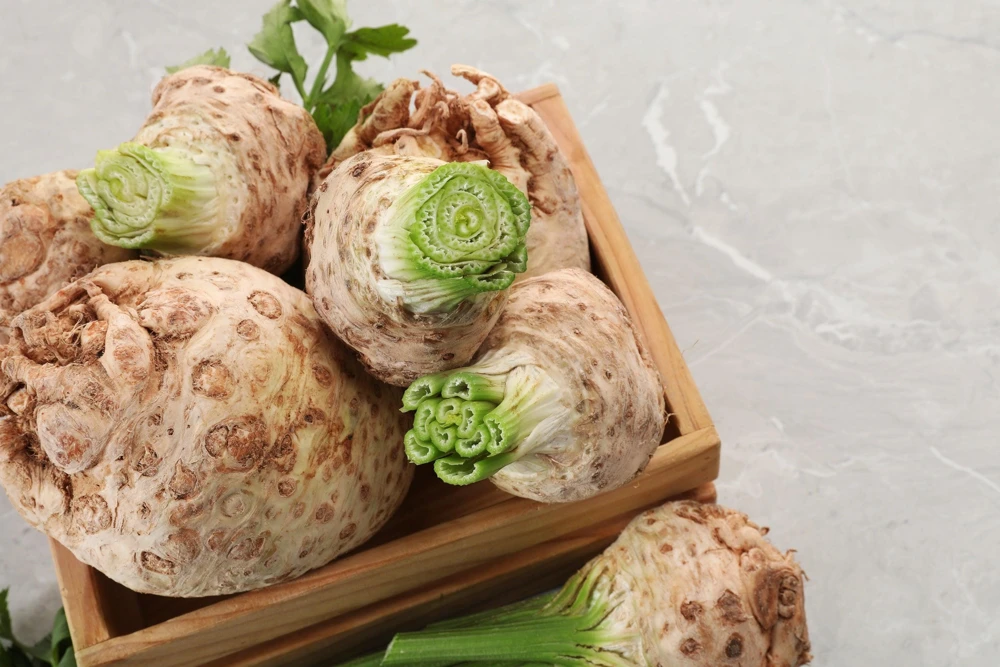 Giant Prague Celeriac Seeds - 500 Count - Root Celery Vegetable for Culinary Use - Image 9
