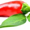 Goat Horn Hot Pepper Seeds - 20 Seeds, Capsicum annuum, Red Peppers - Image 1