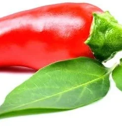 Goat Horn Hot Pepper Seeds - 20 Seeds, Capsicum annuum, Red Peppers - Image 1