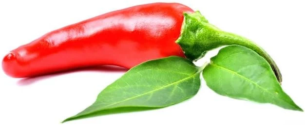 Goat Horn Hot Pepper Seeds - 20 Seeds, Capsicum annuum, Red Peppers - Image 1