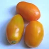 Golden Roma Tomato Seeds - 15 Count Packet - Determinate, Heirloom - Image 1