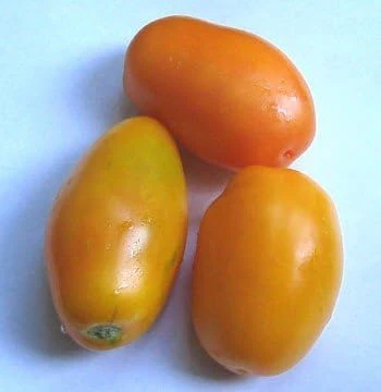 Golden Roma Tomato Seeds - 15 Count Packet - Determinate, Heirloom - Image 1