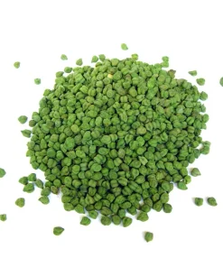 Green Chick Pea Seeds - 25 Heirloom Garbanzo Bean Seeds, Annual, Full Sun - Image 1