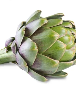 Green Globe Artichoke Live Plant - 2 Pack, 4 inch Pot, Non-GMO, Organic - Image 2