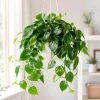 Green Heart Shaped Pothos Live Plant, 4 Inch Pot, Indoor Trailing Houseplant - Image 1