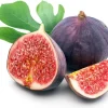Hardy Chicago Edible Fig Live Plant - Ficus carica - 2.5" Pot - Outdoor - Image 1