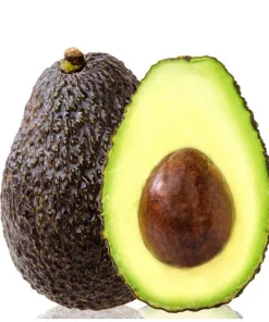 Hass Avocado Live Plant - 4'' Pot - Persea americana - Organic Growth - Image 5