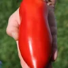 Heirloom Super Italian Paste Tomato Seeds - 100 Seeds - Large 6-10 oz Fruit - High Yield - Image 1