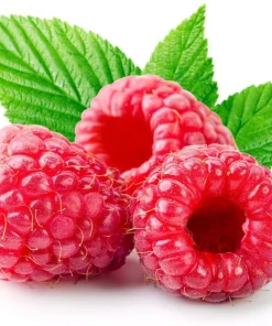 Heritage Red Raspberry Plant - Live Everbearing Berry Bush, 3.25