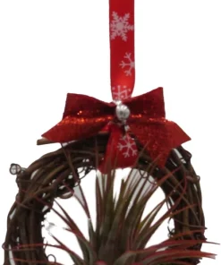 Holiday Wreath with Live Air Plant (Tillandsia) - 3 inch - Indoor/Outdoor Decor - Image 3