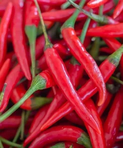 Hot Cayenne Pepper Seeds - Heirloom, Non-GMO Vegetable Seeds for Garden - Image 2