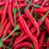 Hot Cayenne Pepper Seeds - Heirloom, Non-GMO Vegetable Seeds for Garden - Image 1