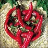 Hot Portugal Pepper Seeds - 20 Seeds - Very Hot, Early Maturing - Image 1