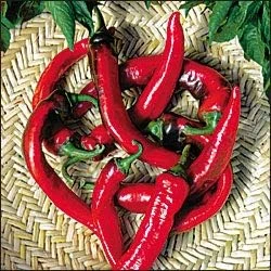 Hot Portugal Pepper Seeds - 20 Seeds - Very Hot, Early Maturing - Image 1