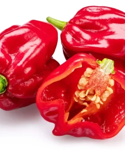 Hot Red Habanero Pepper Seeds – 50 Count – Capsicum Chinense – Vegetable Seeds - Image 7