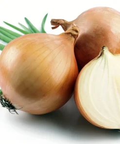 Hybrid Candy Onion Seeds - 50 Sweet & Mild Jumbo Day-Neutral Seeds - Image 1