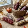 Indian Mini Mix Corn Seeds - 50 Count Ornamental Zea Mays Vegetable - Image 1
