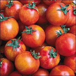 Isis Cherry Candy Tomato Seeds – Sweet Fruity Flavor – 20 Seeds Pack – Outdoor Garden - Image 1