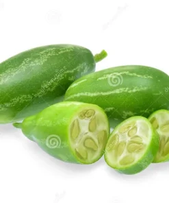 Ivy Gourd Live Plant - Organic Coccinia Grandis Vine in 4