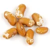 Jacob's Cattle Gold Bean Seeds - 50 Heirloom Vegetable Seeds for Planting - Image 1