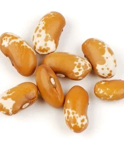 Jacob's Cattle Gold Bean Seeds - 50 Heirloom Vegetable Seeds for Planting - Image 1