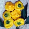 Jamaican Hot Yellow Scotch Bonnet Pepper Seeds - 20 Seeds Pack for Planting - Image 1