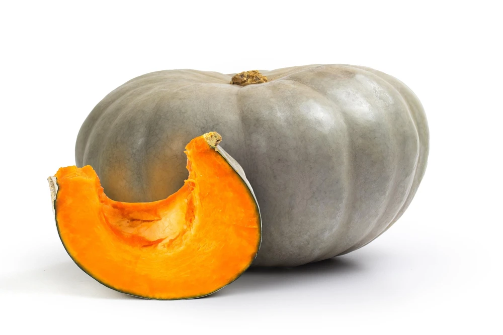 Jarrahdale Pumpkin Seeds - Heirloom Blue-Green Cucurbita Maxima Vegetable Seeds, 15 Seeds - Image 1