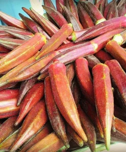 Jing Orange Okra Seeds - 50 Heirloom Vegetable Seeds for Garden - Image 2