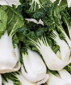 Joi Choi Pak Choi Cabbage Seeds - 100 Non-GMO Brassica rapa Seeds - Image 1