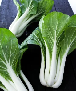 Joi Choi Pak Choi Cabbage Seeds - 100 Non-GMO Brassica rapa Seeds - Image 2