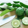 Kaffir Lime Tree - Live Plant - Fruit Bearing - 5 inch Pot - Indoor/Outdoor - Image 1