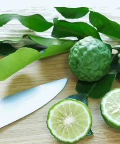 Kaffir Lime Tree - Live Plant - Fruit Bearing - 5 inch Pot - Indoor/Outdoor - Image 1