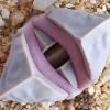 Lapidaria margaretae Seeds - Rare Living Stone Cactus, Exotic Mesemb - 30 Seeds - Image 1