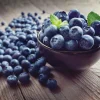 Legacy Blueberry Live Plant – 4 inch Pot – Sweet Edible Berries – Outdoor - Image 1
