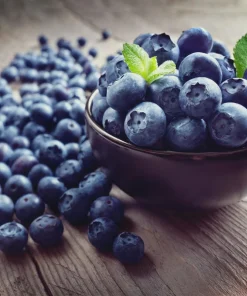Legacy Blueberry Live Plant – 4 inch Pot – Sweet Edible Berries – Outdoor - Image 1